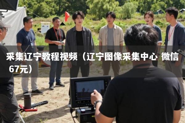 采集辽宁教程视频(辽宁图像采集中心 微信 67元)