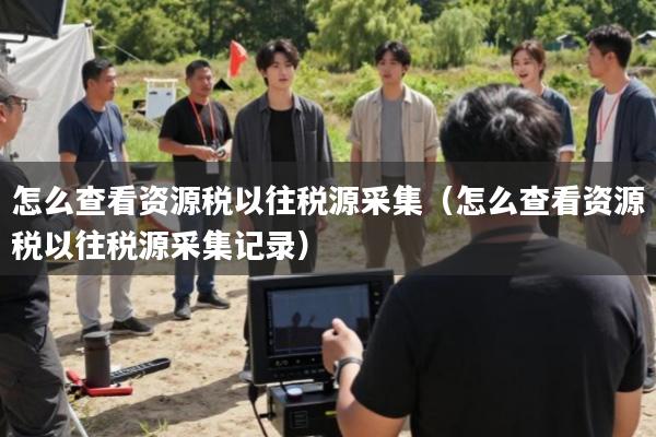 怎么查看资源税以往税源采集(怎么查看资源税以往税源采集记录)
