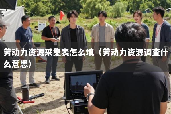 劳动力资源采集表怎么填(劳动力资源调查什么意思)